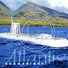S12 Atlantis Submarine Surface