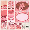 12x12 Big Island Scrapbook Kit