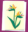 Bird of Paradise Gift Card