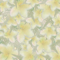 A03 Yellow Plumeria Scatter Large 8x8 Paper