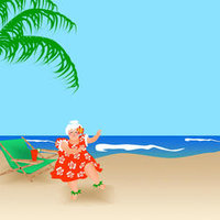 DD15 Hawaii Mrs Claus