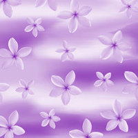 D19 Plumeria Wash Purple