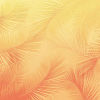 L17 Gradient Palm Orange