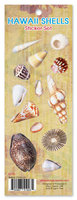 Hawaii Shells Sticker Set